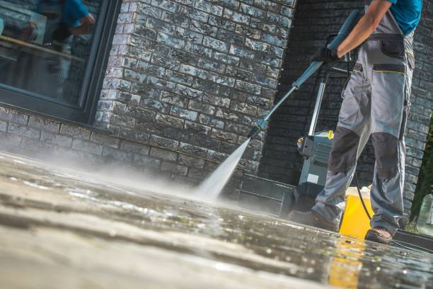 Best Building Exterior Washing  in Meadow Vista, CA