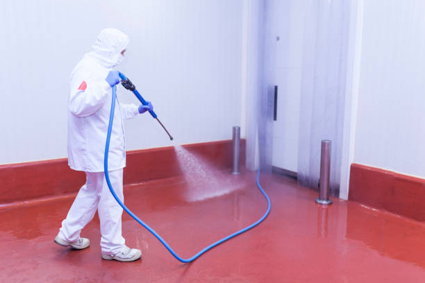Pre-Holiday Cleaning in Meadow Vista, CA